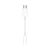 Apple - Audio Adapter (MU7E2ZM/A) - Type-C to Jack 3.5mm - White (Blister)