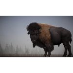 Konzol játék, PS5 Alaskan Road Truckers: Highway Edition Új