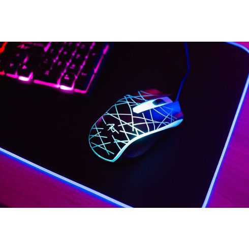 ART set wire keyboard USB A QWERTY with light + wire mouse USB A with light AK-50 black